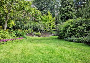 Optimiser l'expérience du jardin à Pompierre-sur-Doubs